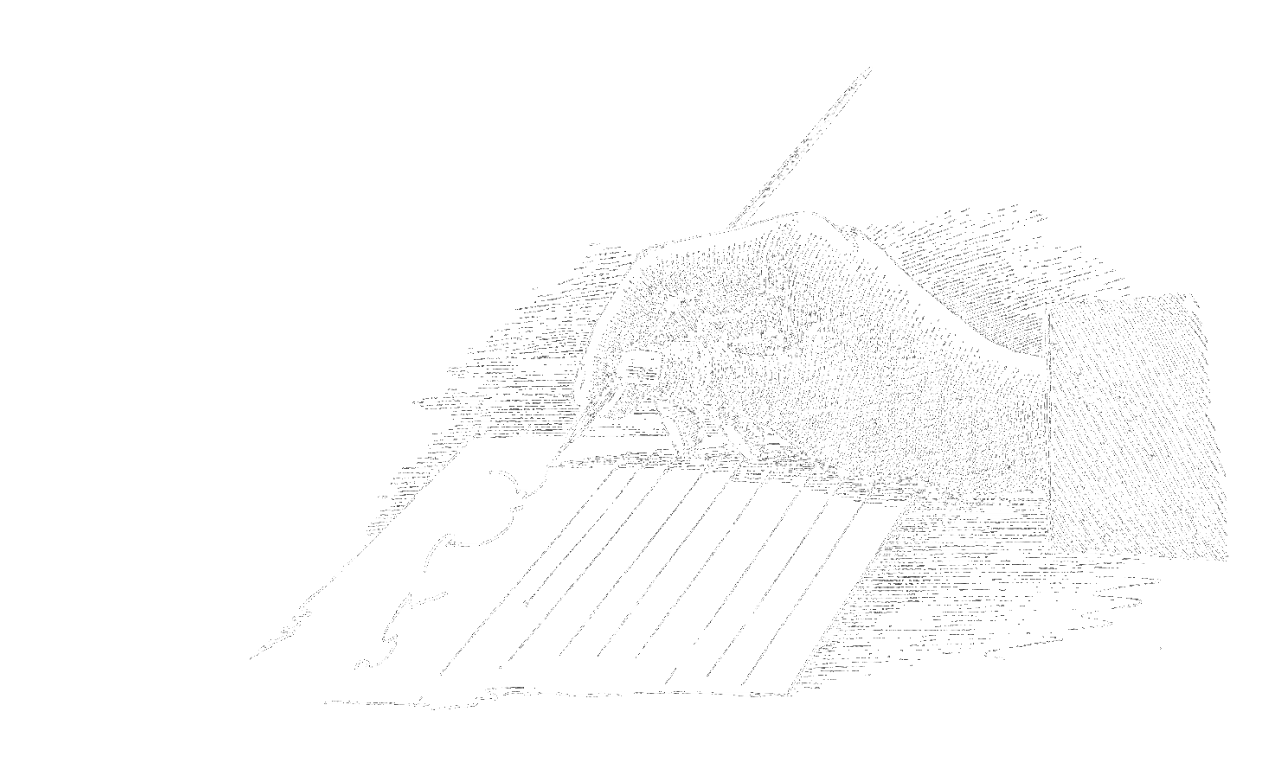 Nutri Doctor - Filling order